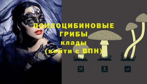 амф Алексеевка