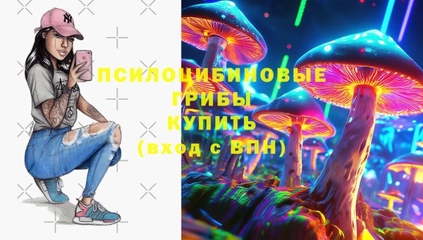 PSILOCYBIN Алзамай