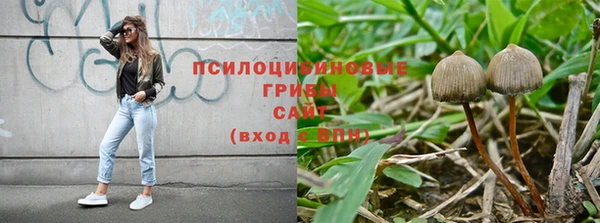 амф Алексеевка